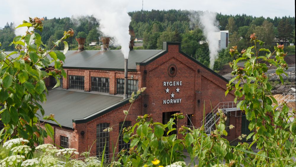 Rygene-Smith & Thommeesen har hatt produksjon ved Nidelva i Arendal siden 1873, det første sagbruket ble opprettet i 1616. Nå tar de et steg videre og vil lage trefiber for norske veidekker.