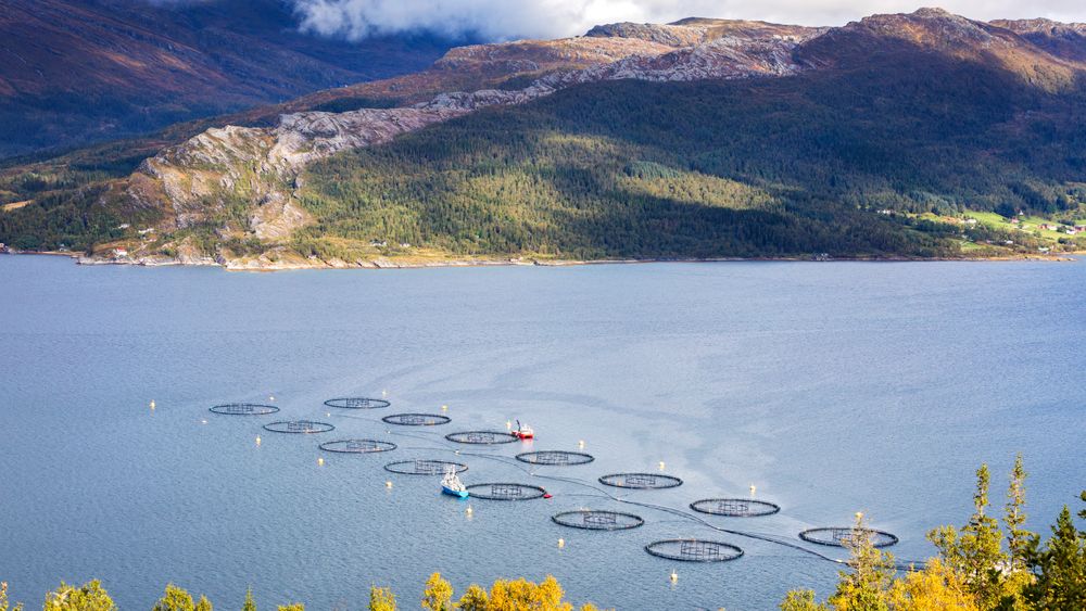 Digitale verktøy vil bidra til mer bærekraftig oppdrett av fisk, både når det gjelder plassering av merder og utvikling av nye produksjonsmetoder, skriver artikkelforfatterne. Dette anlegget ligger i Sjona på Helgelandskysten.  