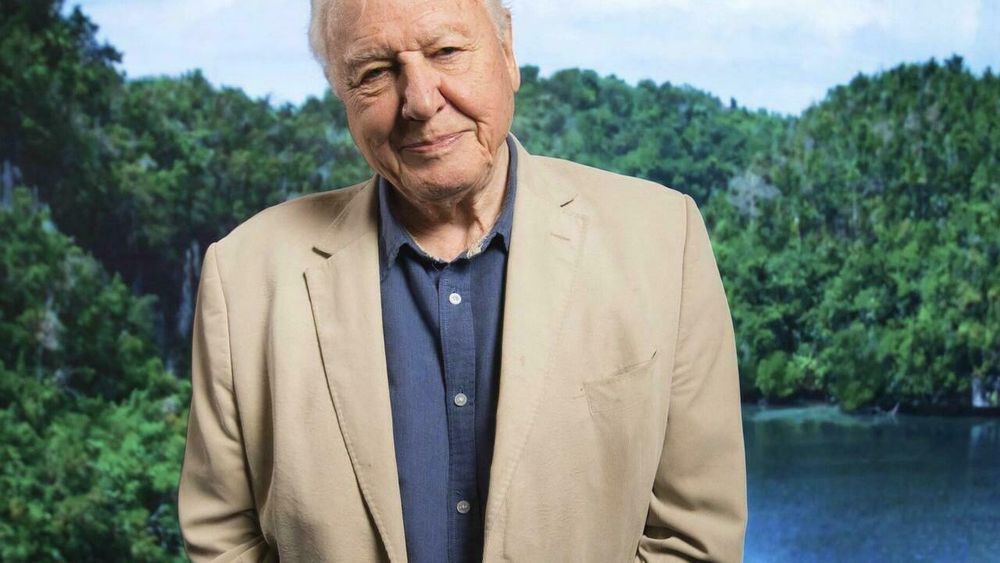 David Attenborough sier til Faktisk.no via sin advokat at han «på ingen måte kjenner seg igjen i formuleringene» og at han «aldri ville ha sagt noe slikt».