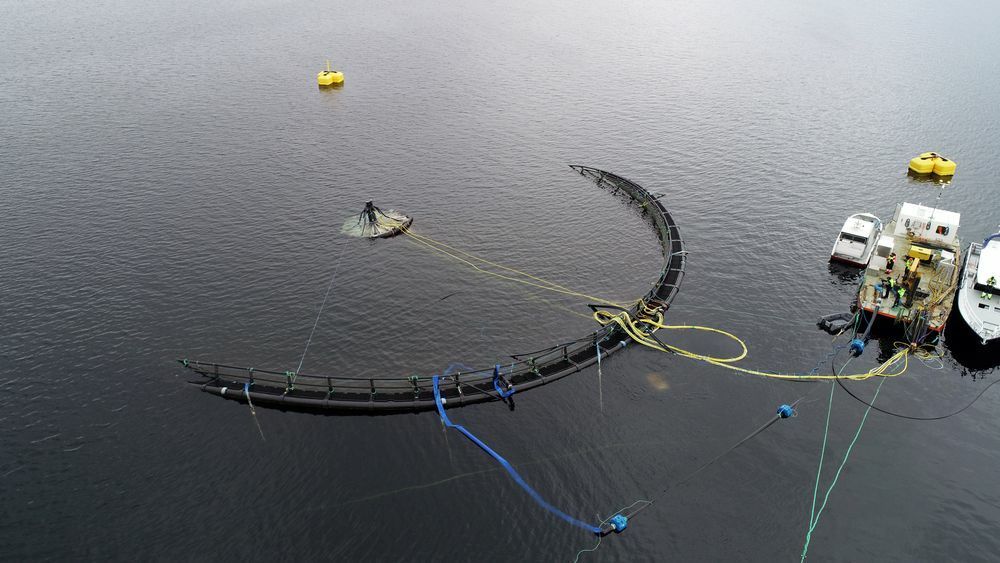 Atlantis Subsea Farming er blant selskapene som har testet nedsenkbare merder.