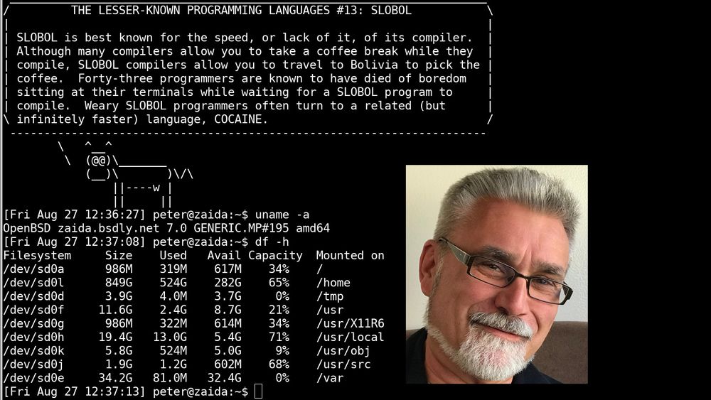 Peter Hansteen har brukt operativsystemet OpenBSD i mer enn 20 år. Bildet viser et terminalvindu på hans bærbare PC.