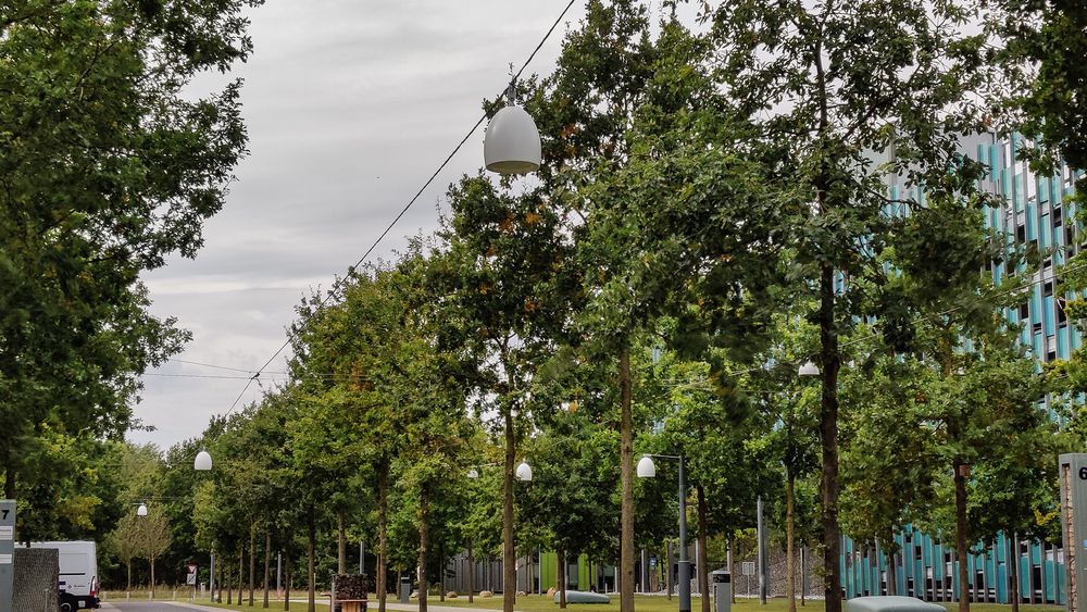 Formidler signaler: Der det er belysninger er det også plass til å installere et «last mile» radionett.