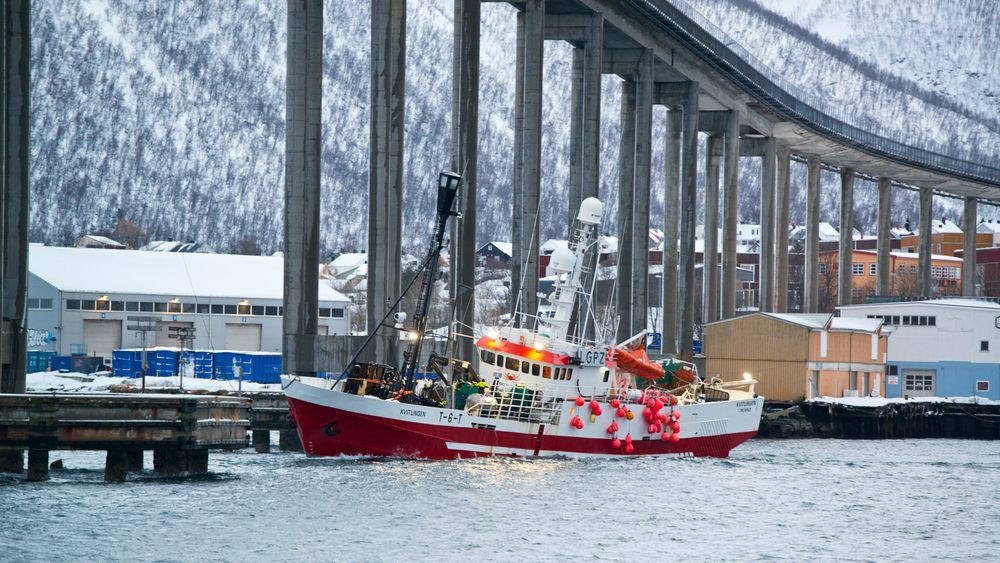 Krabbebåten «Kvitungen» idet den kjørte på beskyttelsen rundt den ene pillaren på Tromsæbrua øærsdag.       