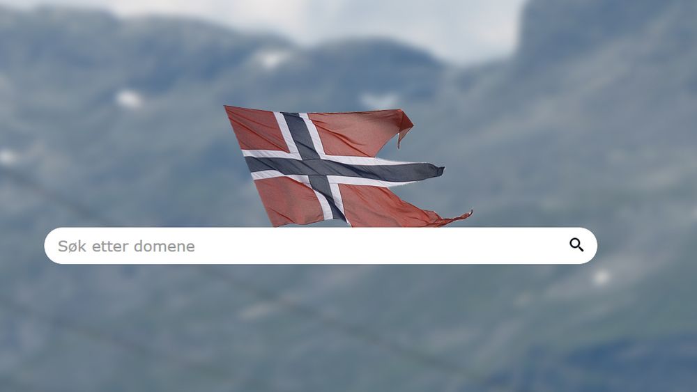 85 prosent av alle norske virksomheter har registrert minst ett norsk domene, ifølge Norid.