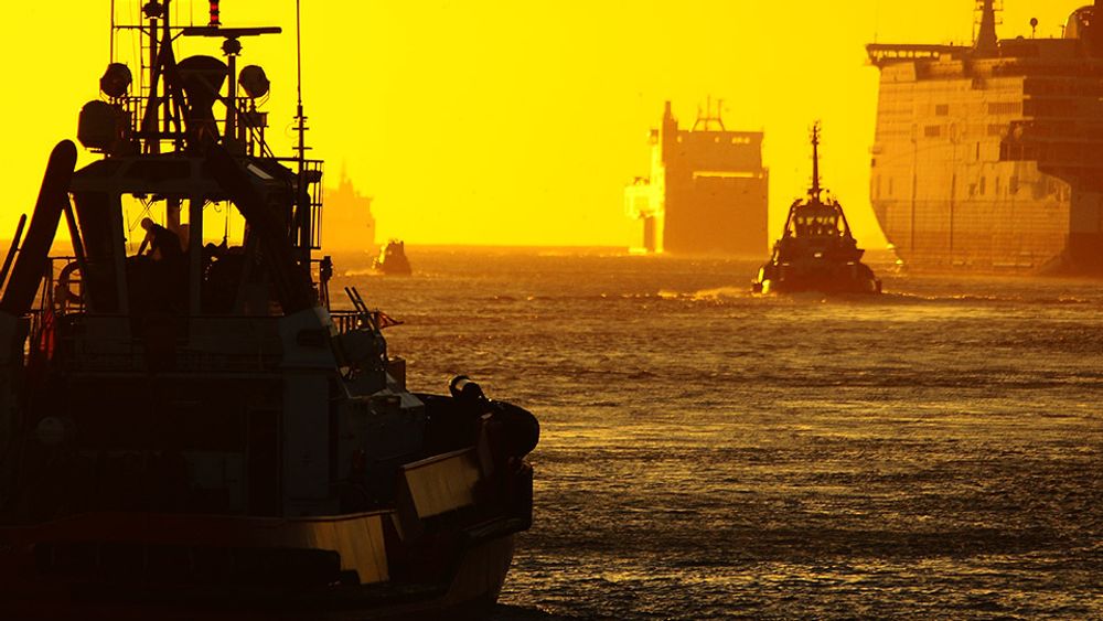 Tett skipstrafikk med taubåter, ro-pax-ferger og ro-ro-skip i solnedgang.
