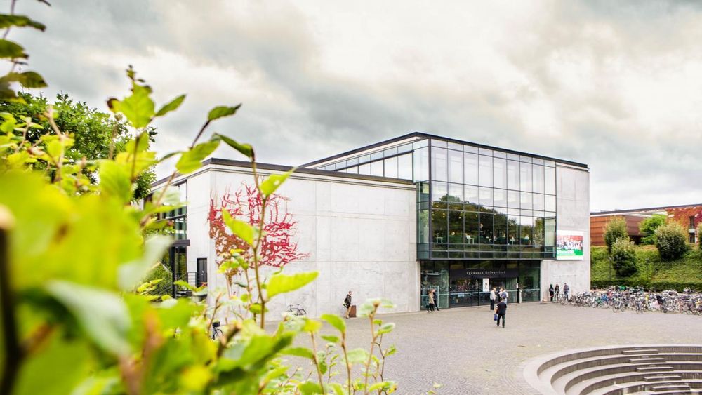 Syddansk Universitet i Odense er universitetets største campus. Nesten alle universitetets utdannelser finnes her.
