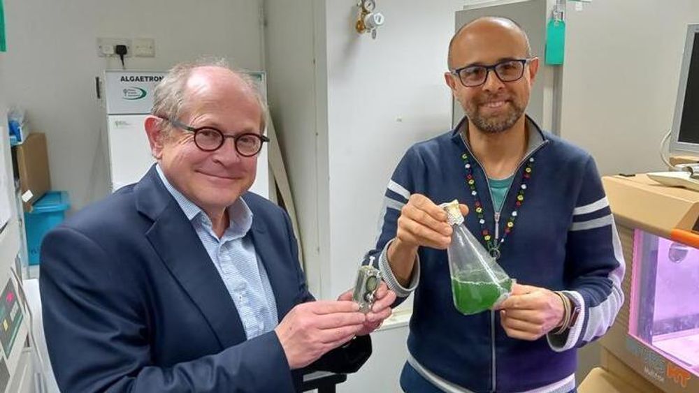 Christopher Howe og Paolo Bombelli ved universitetet i Cambridge er overrasket over hvor lenge algene deres har produsert strøm til mikroprosessoren.