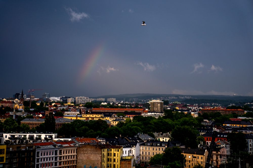 Nordmenn er blant de mest klimaskeptiske i en ny EU-undersøkelse. Her en regnbue over Oslo mandag kveld.