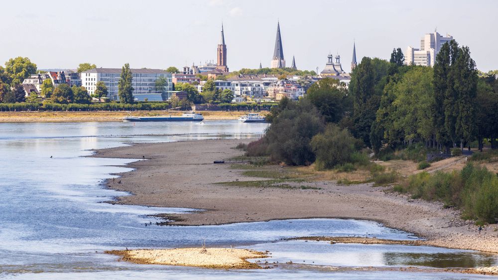 Mangel på regn har ført til svært lav vannstand i en av Europas viktigste elver Rhinen. Bildet er tatt 3. august i Bonn i Tyskland, der vannstanden kun er 110 centimeter på det dypeste.