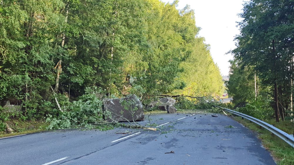 Store steiner og trær sperrer riksvei 41 ved Haugsjåsund. Geolog og fjellsikringsteamet til Mesta er på vei til rasstedet.