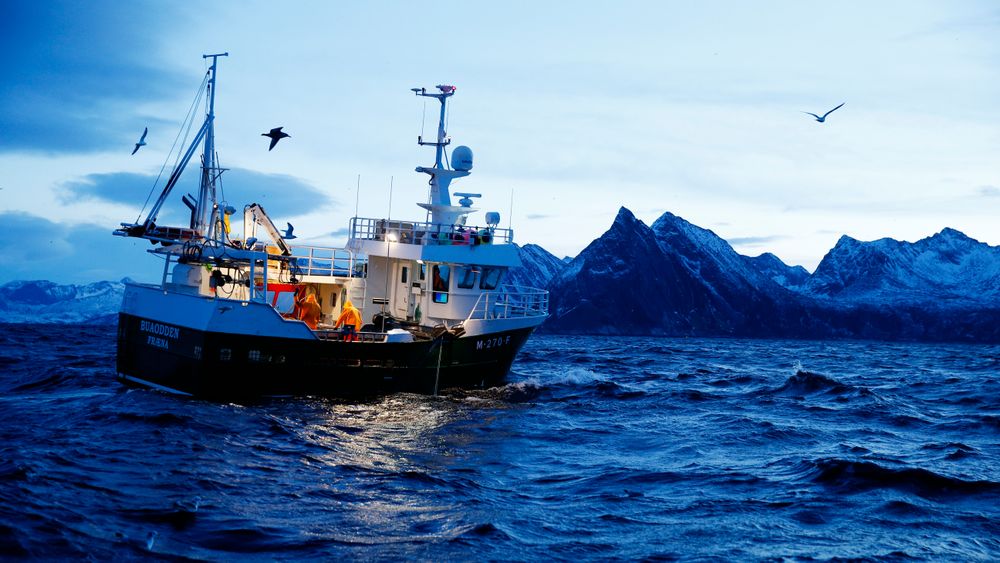 Fiskeridirektoratet vil utvikle teknologi som kan registrere all fisk som fiskes i norske farvann.