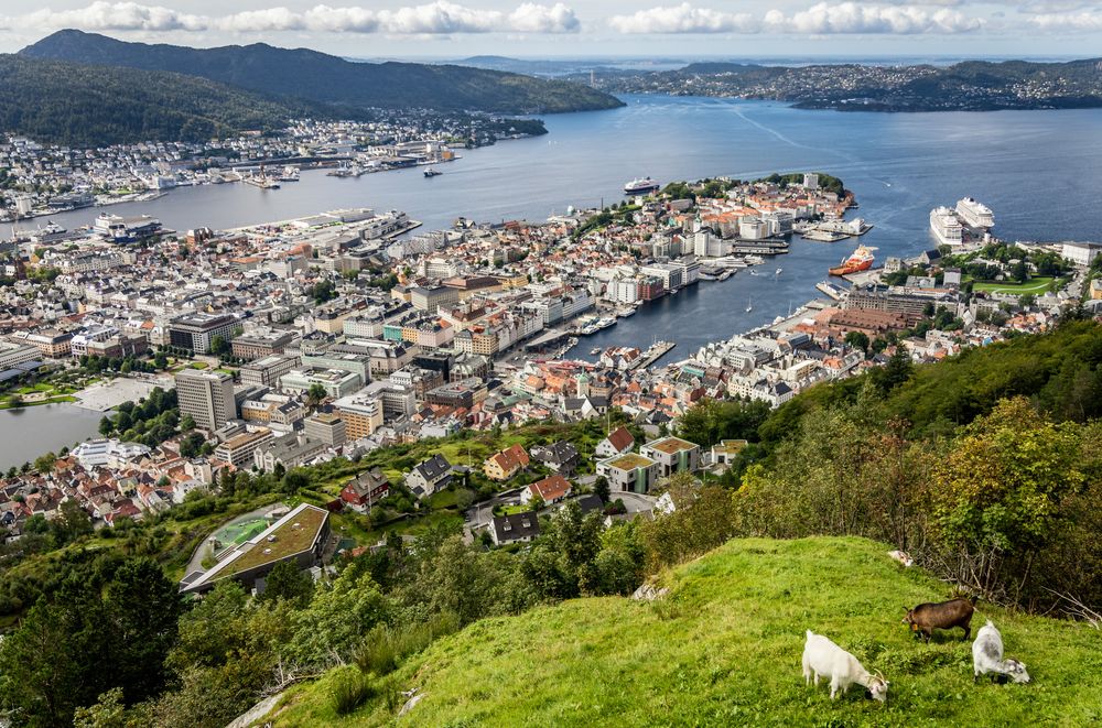 DNB har over tid bygget opp et allsidig IT-miljø i Bergen. <i>Foto:  TUM Studio</i>