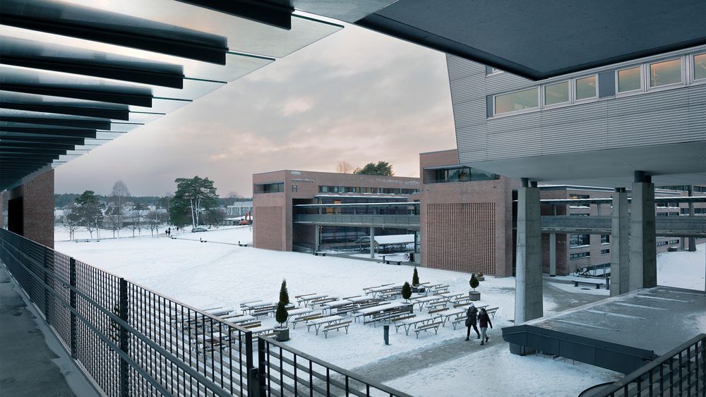 Campus Kristiansand på Gimlemoen. 