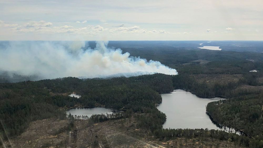 Det er stor skogbrannfare flere steder i Sør-Norge. Meteorologisk institutt har sendt ut farevarsel på oransje nivå for deler av Østlandet, Agder og sørlige del av Rogaland. Bildet er fra en tidligere skogbrann sør for Halden.