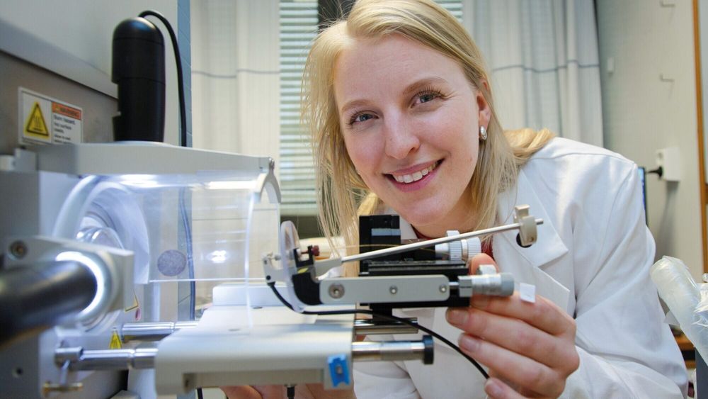 Sintef-forsker Frøydis Sved Skottvoll på laboratoriet. Hun fattet tidlig interesse for såkalte organoider og for mikrosystemene som blant annet gjør det mulig å erstatte forøksdyr.