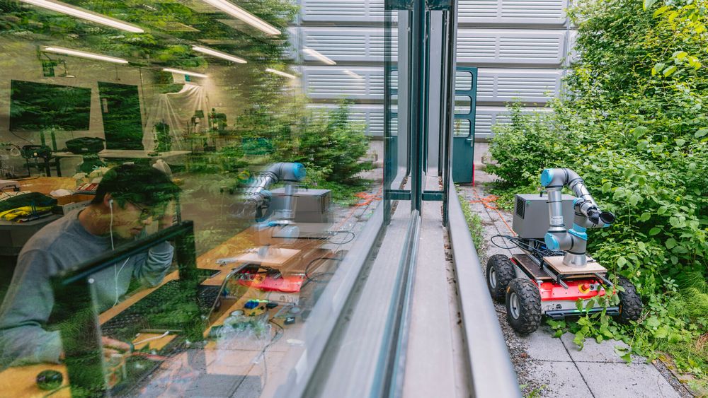 Roboten, som i stort monn er designet av Chat GPT, kan høste tomater på egen robothånd.
