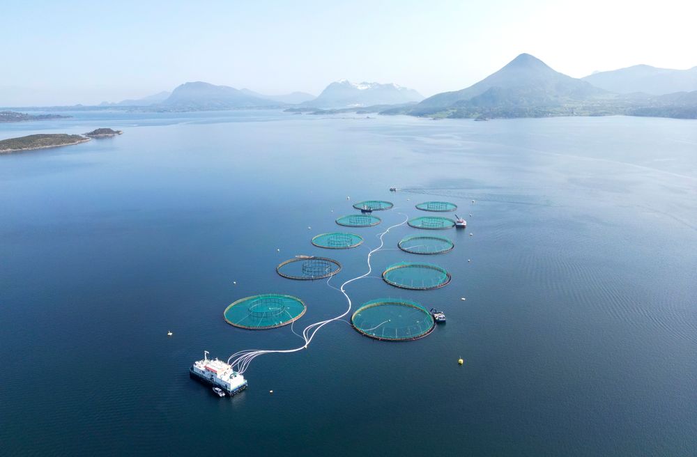 Finansdepartementet vil ikke svare på om de er fornøyd med resultatene fra lakseskatten. Bildet er fra Mowis anlegg ved Aukrasanden i Møre og Romsdal.