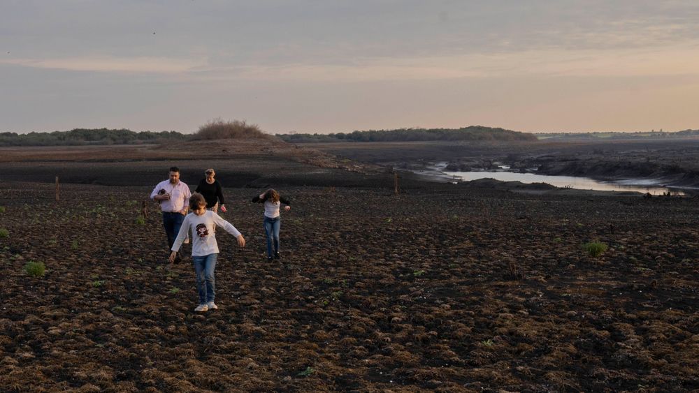 Tre år med tørke har erodert Uruguays drikkevannsressurser. Her vandrer en familie over et område ved Paso Severino-reservoaret som tidligere pleide å være dekket med vann.