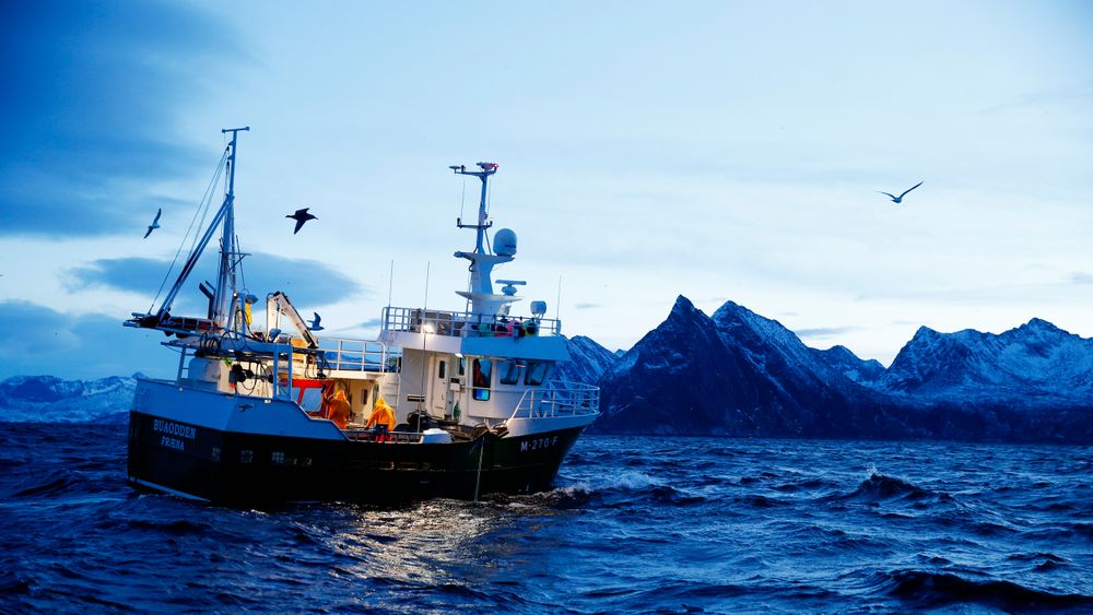 En fiskebåt ved Gryllefjord utenfor Senja. Torsk og sild er blant artene som kan bli hardt rammet av klimaendringene. 