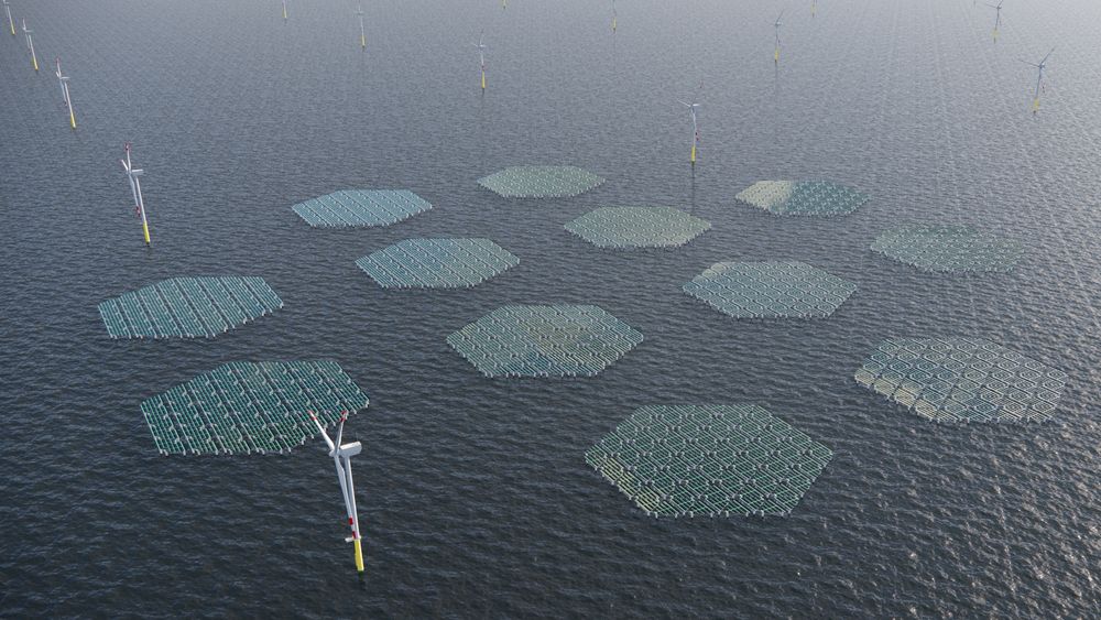 Mellom turbinene i havvindparken utenfor Nederland skal det installeres 54 flytende og sammenlenkede triangler i aluminium med solpanel på dekk