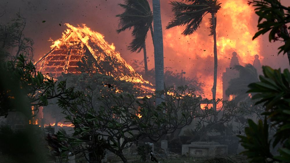 Flere land i Europa ble i sommer rammet av tørke og skogbrann. Verst var brannen på øya Maui på Hawaii, der flere hundre mennesker omkom i august.