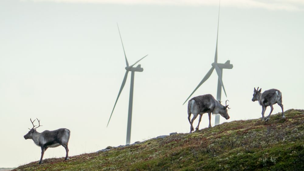 Det har gått to år siden Høyesterett konkluderte med at konsesjonsvedtaket for vindkraftutbygging på Fosen var ugyldig.