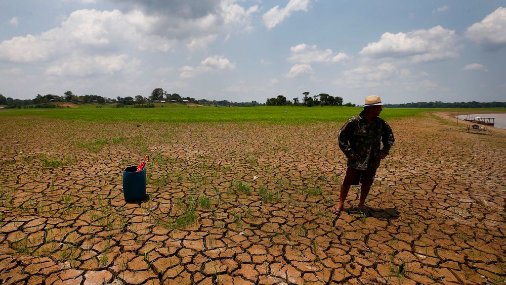 En mann kikker utover et tørkerammet område ved elva Solimoes i den brasilianske delstaten Amazonas i midten av oktober. Klimaendringene bidrar til å øke risikoen for tørke mange steder i verden.