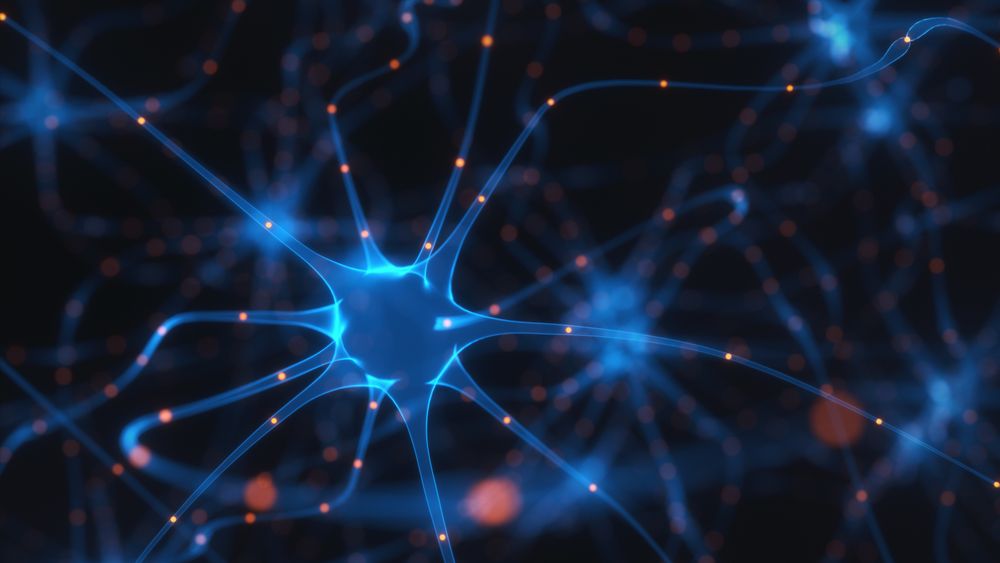 Forskere har kombinert ekte, organiske hjerneceller med elektronikk for å skape en «biologisk» datamaskin. Dette er et illustrasjonsbilde.