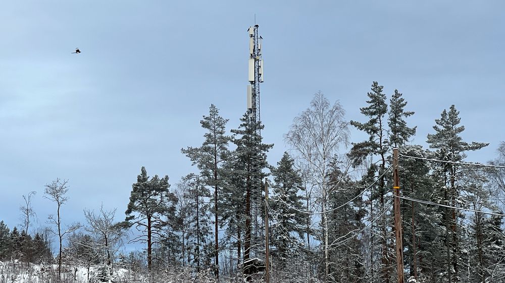 I Opensignals analyse av mobilnettene i Norge, sett fra brukernes ståsted, skårer både Telenor, Telia og Ice høyt. Her illustrert ved en basestasjon på Nesodden, som kråker og skjærer liker å bruke som utsiktspunkt. 