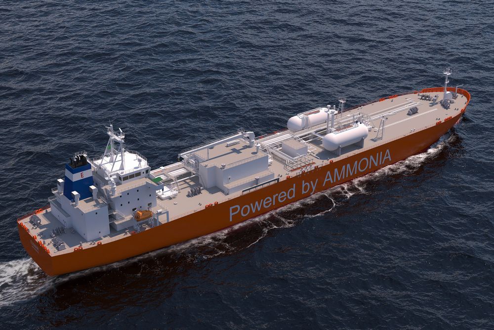 Belgiske Exmar har to mellomstore gasskip (46.000 m3) for transport av ammoniakk under bygging i Sør-Korea. De vil også bli de første med ammoniakkmotorer. WinGd leverer X-DF-A-motorene mens Wärtsilä Gas Solutions leverer drivstoffsystemene.