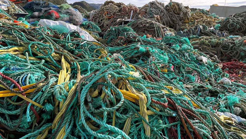 Hvert år ender 2700 tonn utrangert tauverk på mottak i norske havner. Nå tas det grep for å stoppe forurensningen og utnytte dette avfallet bedre.