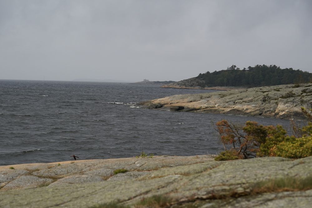 Hvaler kommune truer med bot etter at Tampnet har lagt kabel gjennom ytre Hvaler nasjonalpark. Bildet er tatt i Hvaler kommune, men viser ikke nødvendigvis nasjonalparken.