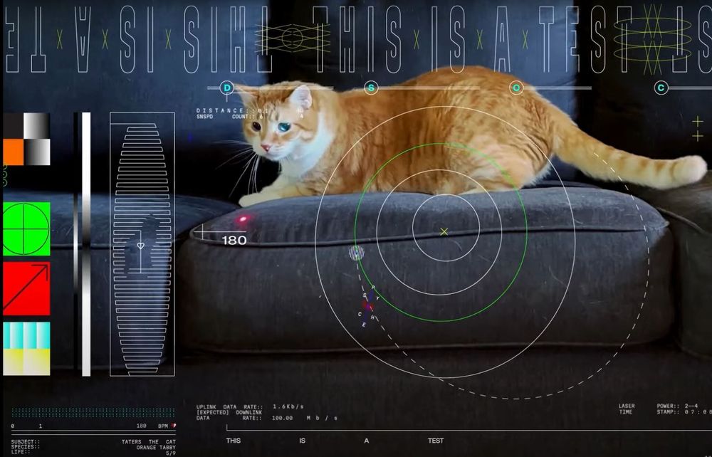 Den rødhårede katten Tater gikk viralt da Nasa i vinter for første gang sendte en video med laser fra verdensrommet.