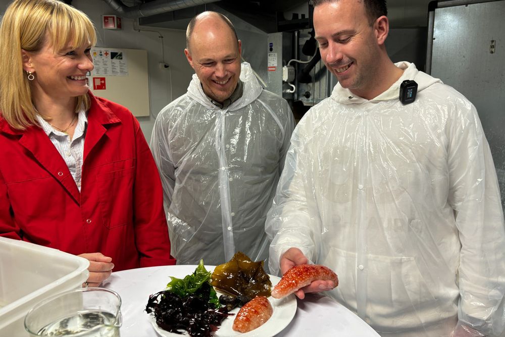 Michelin-kokken Benoit Dewitte møter verdens dyreste sjømatingrediens for første gang. Han og kollega Thiis Meliefste var svært nysgjerrige på å få høre mer om hvordan sjøpølsa kan brukes i mat.
