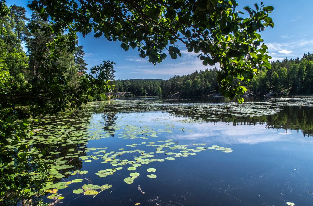 Lørdag er det offisiell åpning av Østmarka nasjonalpark i Oslo. Bildet er fra Ulsrudvann i Østmarka.