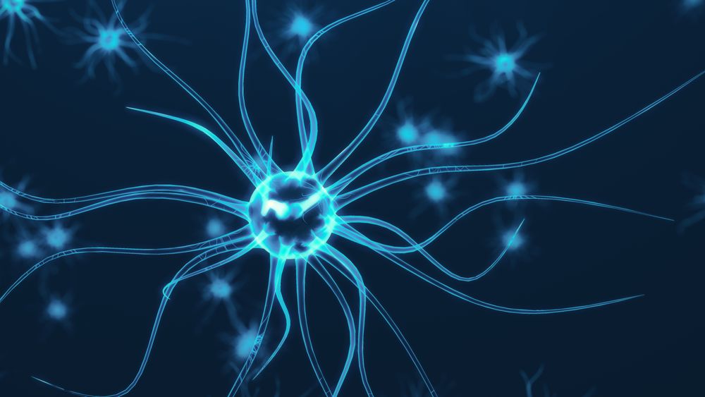 Forskere henter i økende grad inspirasjon fra biologi for å bringe datateknologien videre. Dette er et illustrasjonsbilde av en hjernecelle.