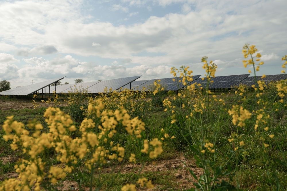 Equinor starter prøveproduksjon fra sin tredje solpark i Polen, Lipno. Den har en kapasitet på 53 MW. 