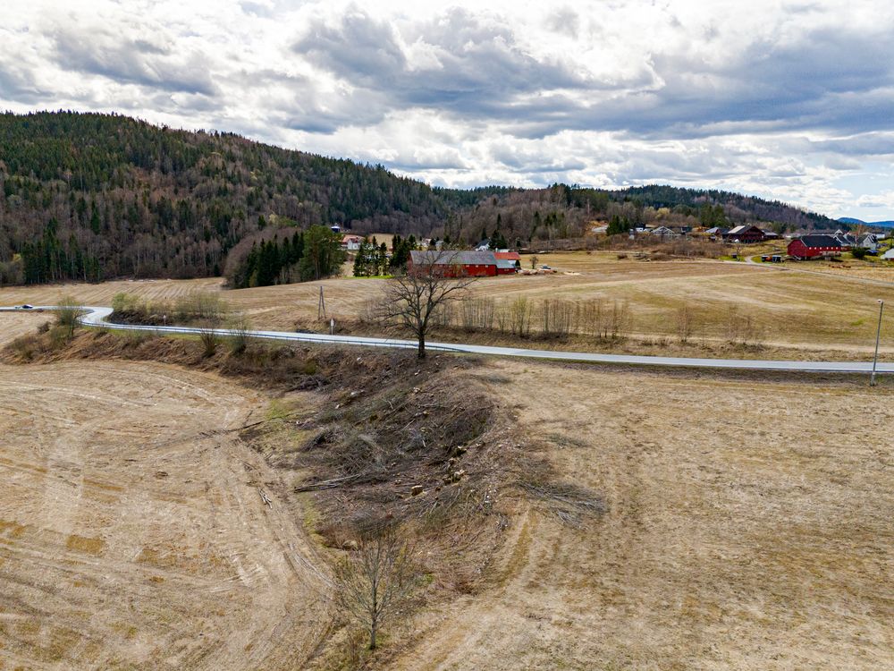 Området var klargjort for prøveuttak av sjeldne jordarter da TU besøkte Fensfeltet i april i år. Nå skal prøvene i stedet hentes fra et annet sted, og kanskje blir det først i 2026.