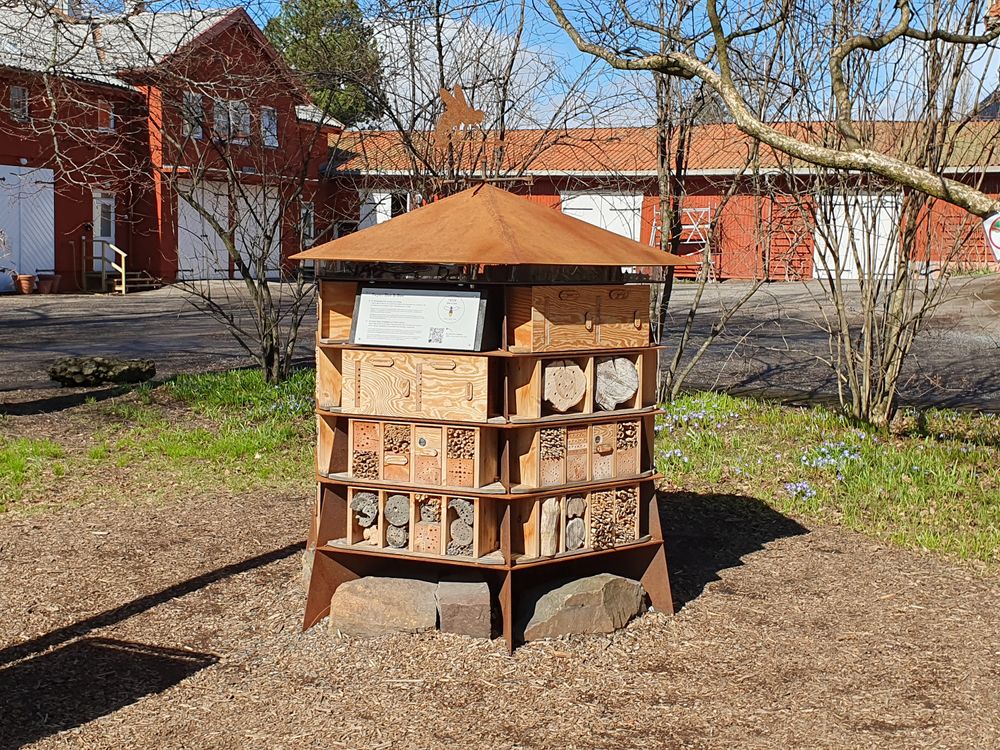 Insekthotellet Tøyen Bee & Bee er laget av trekubber med drillhull i, takrør og bambusrør. Insektvennlige designvalg må til for at villbier og -veps skal flytte inn.