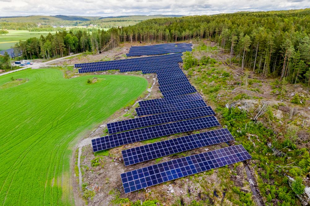 Bildet er fra Buer solkraftverk og fungerer som illustrasjonsbilde.