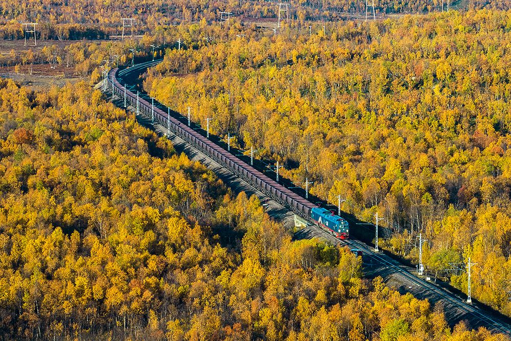 Ofotbanen er 42 kilometer lang på norsk side, på svensk side går den over til Malmbanen. 