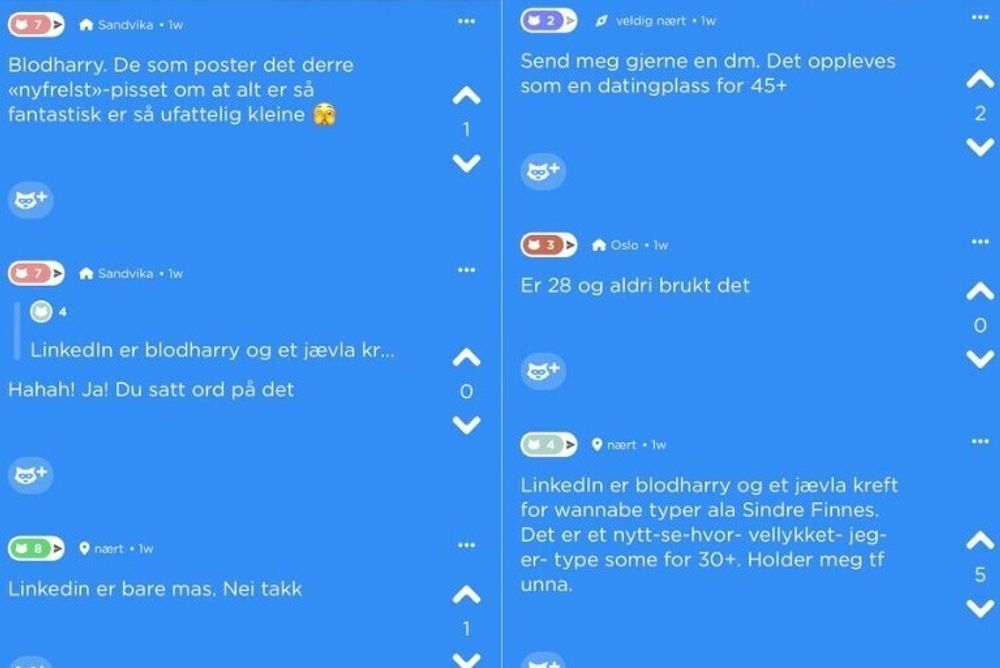 Linkedin får gjennomgå på den anonyme sosiale medieplattformen Jodel.