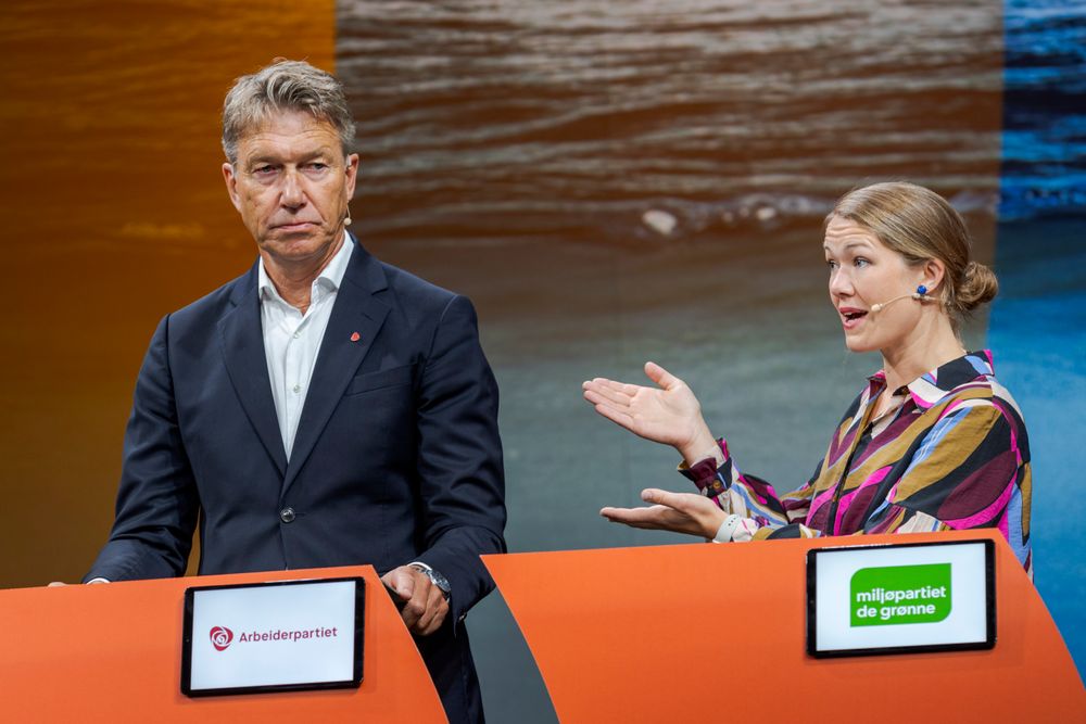 Stortingsrepresentant Une Bastholm (MDG) mener energiminister Terje Aasland  (Ap) og regjeringen har overkjørt egne fagmyndigheter når den har åpnet for kartlegging av havbunnsmineraler. 