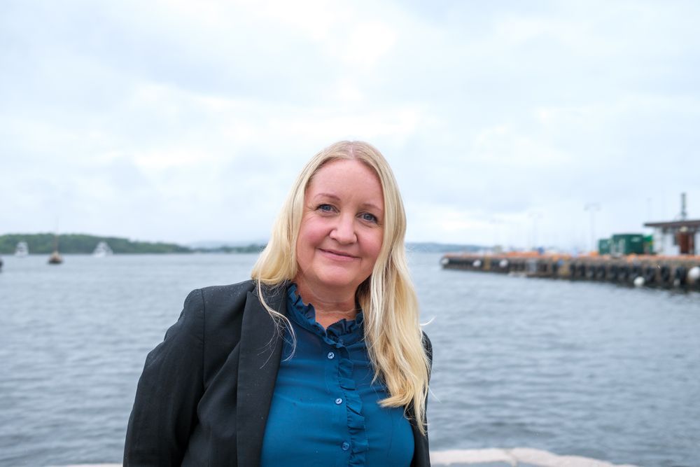 I mange virksomheter er det nettopp utviklere, sikkerhetseksperter og konsulenter som utgjør den digitale beredskapen, skriver Hege Svendsen i Den norske dataforening.