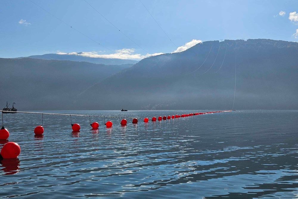 Fjordspennlina over Sognefjorden ble skadet av et lasteskip i september 2024 mens den var under oppføring. Når den står klar til høsten vil den gi prishopp i Midt-Norge, ifølge Volue.