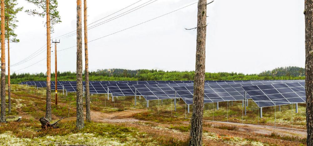 Visualisering av Bronkemoen solkraftverk som er planlagt på vestsiden av Glomma, mellom Braskereidfoss og Heradsbygd  sør for Elverum.