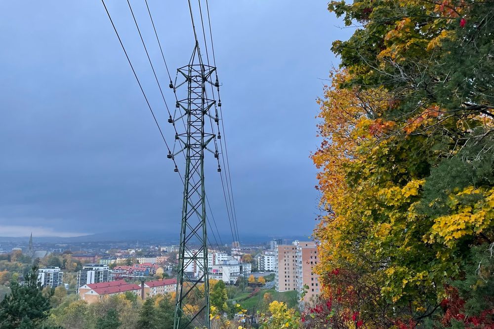 Strømnettet i 2040 skal være fleksibelt og intelligent, og det må håndtere endringene som må til for å lykkes med det grønne skiftet. Dette krever felles innsats av mange ulike aktører. 