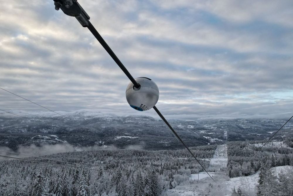 Neuronene er på størrelse med en bowlingkule og fulle av sensorer.