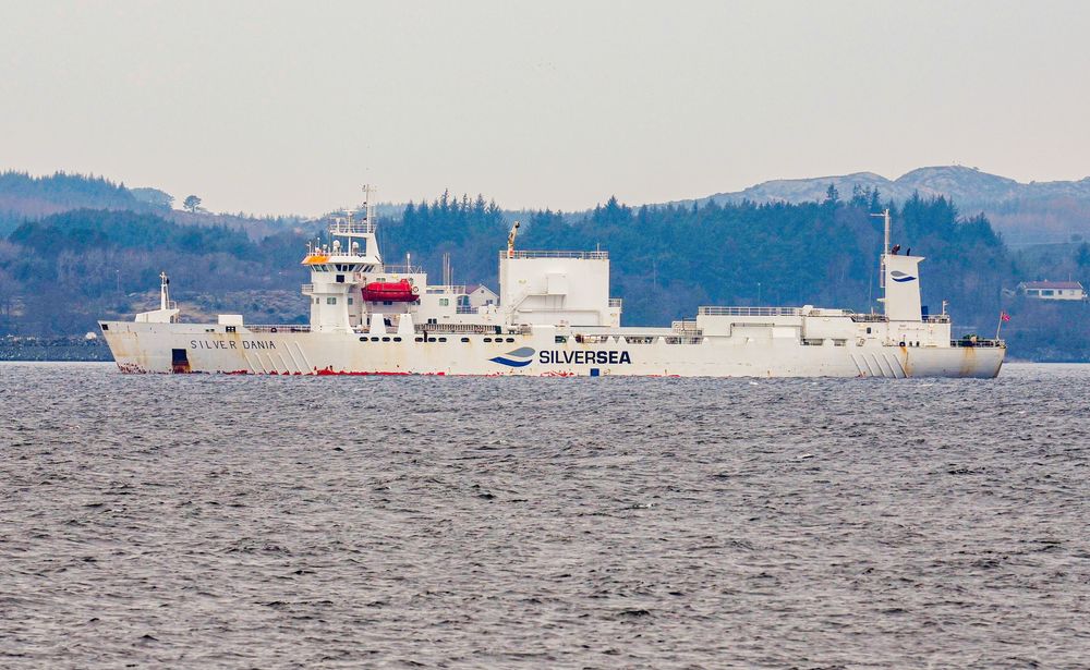 Lasteskipet «Silver Dania» er mistenkt for kabelsabotasje. Her ligger skipet utenfor Norsk Hydro sitt anlegg på Karmøy. Bildet er tatt i en annen anledning.