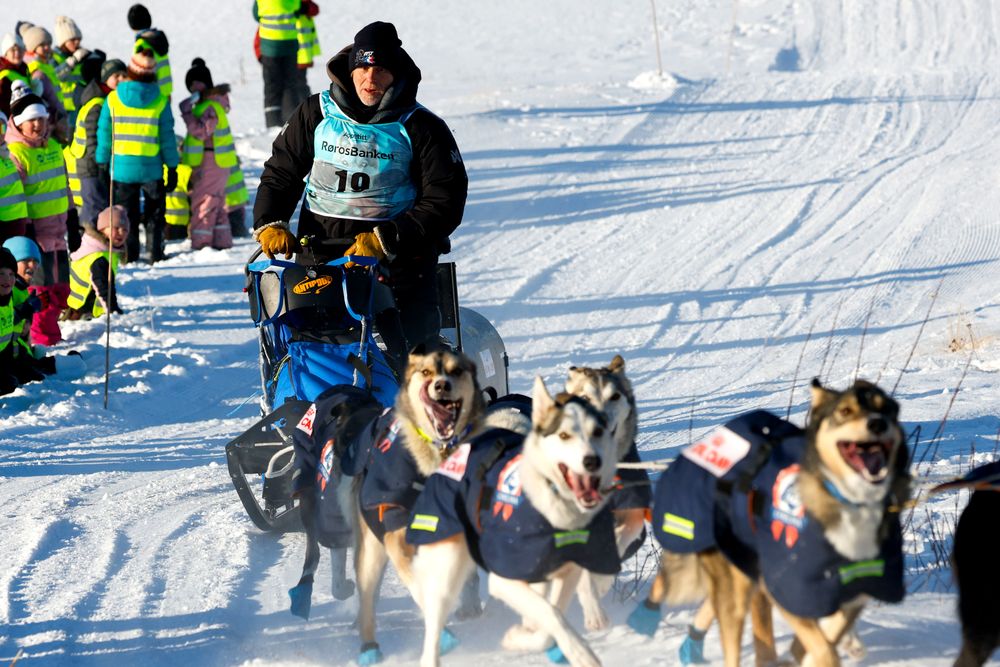 VM i hundekjøring på Røros er rammet av et massivt dataangrep.